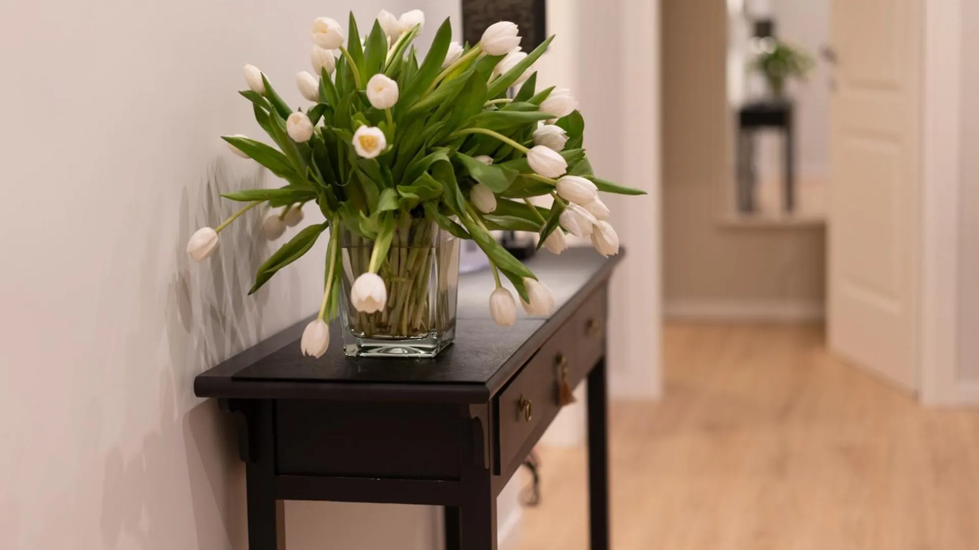 Guest house Residenza Lucrezio Hotel Rome